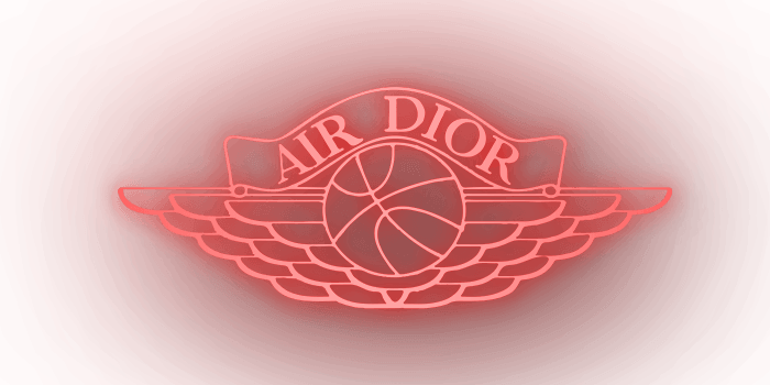 dior jordan logo