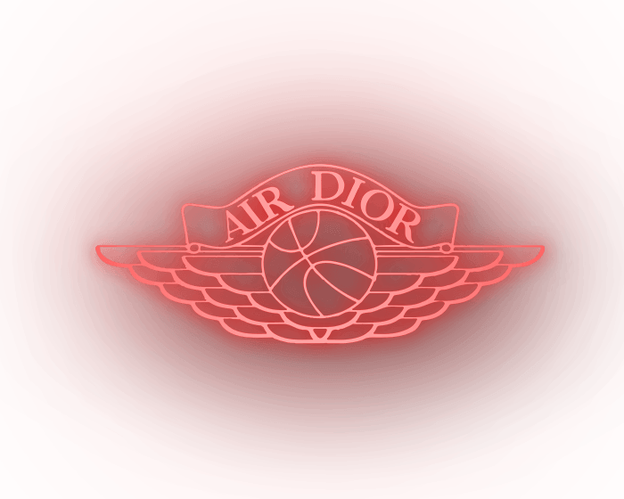 jordan dior logo