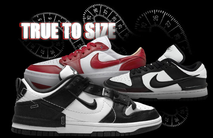 Nike sb dunk true to size hotsell