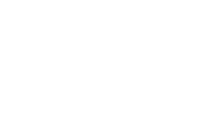 JD Sports Logo NSB