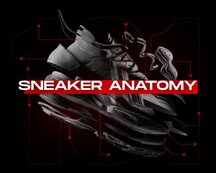 Sneaker anatomy NSB