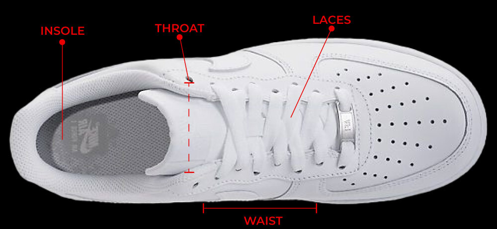 sneaker anatomy top view NSB