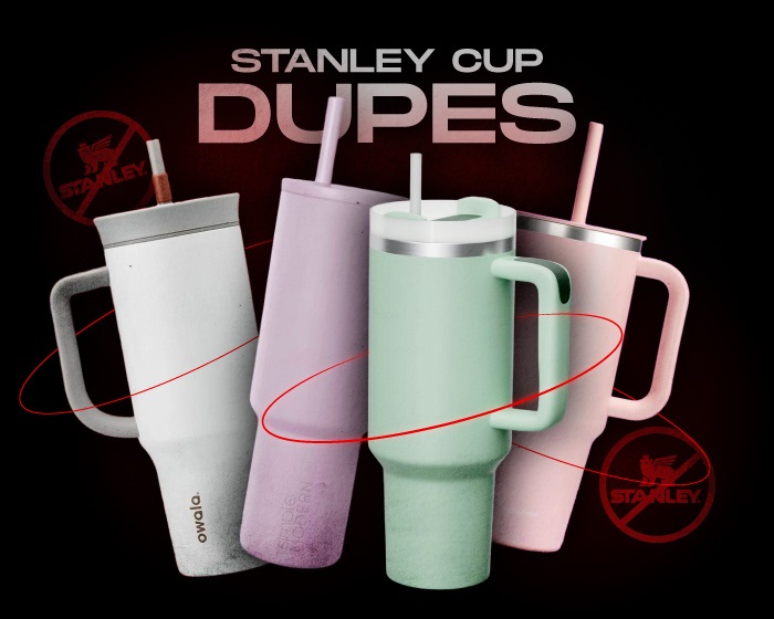 Stanley Cup Dupes NSB