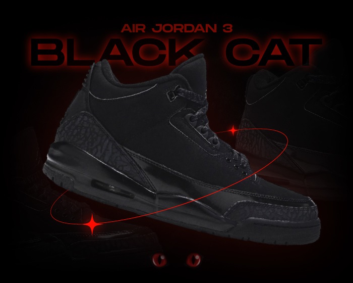 Air Jordan 3 Black Cat NSB