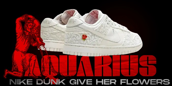 Zodiac Signs as Sneakers NSB - Aquarius