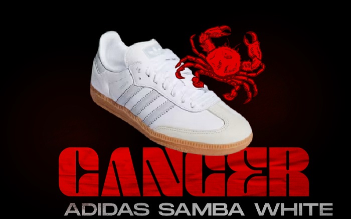 Zodiac Signs as Sneakers NSB - Cancer